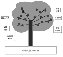 标准犹如诊断师——解读卓越绩效模式