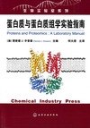 蛋白质与蛋白质组学实验指南(翻译版)