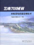 三峡700MW水轮发电机组安装技术