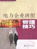 电力企业班组管理丛书 电力企业班组管理技巧