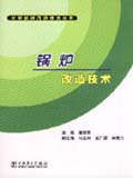 火电机组改造技术丛书 锅炉改造技术