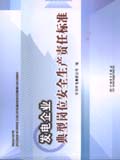 发电企业典型岗位安全生产责任标准