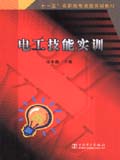 “十一五”高职高专技能实训教材 电工技能实训